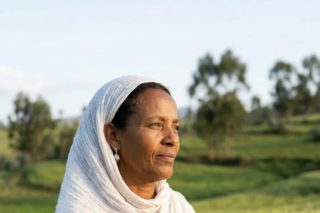 FarmerChat gorsa naannoo argachuuf bakka jirtan akka qooddan yeroo gaafatu